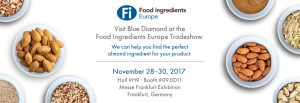 Fi Europe