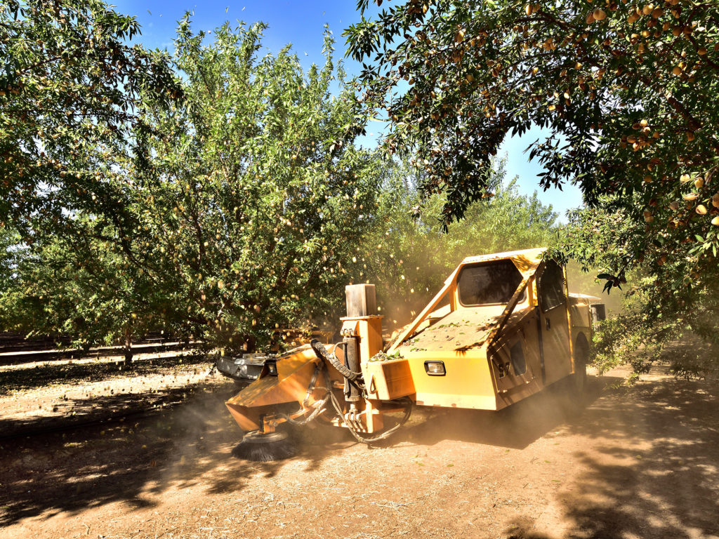 Shaking Independence in Tulare County