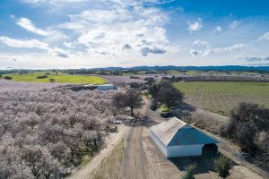 Mike Doherty's farm