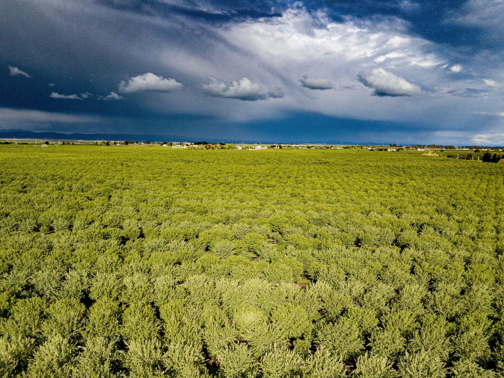 Storms over San Joaquin County