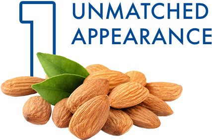 1 Unmatched appearance with photo of almonds